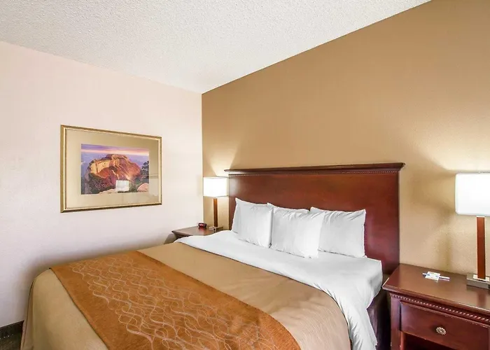 Comfort I-10 West At 51st Ave 4*