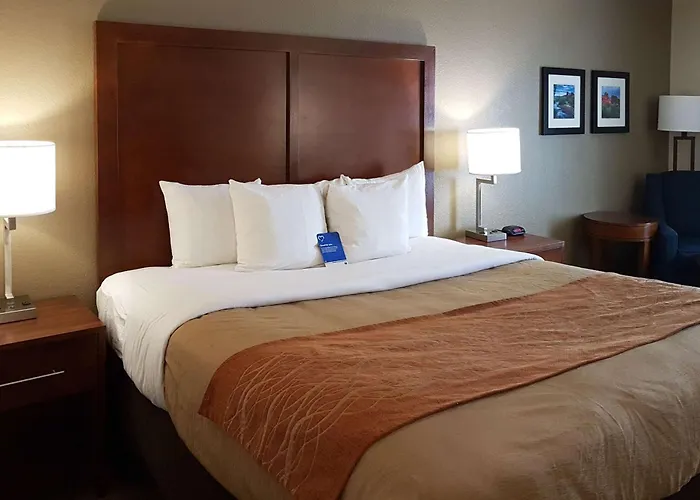Comfort I-10 West At 51st Ave Locanda Phoenix
