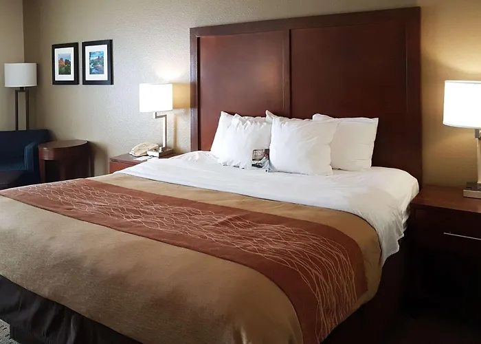 Comfort I-10 West At 51st Ave Locanda Phoenix